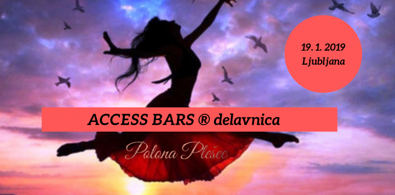 Access Bars ® delavnica