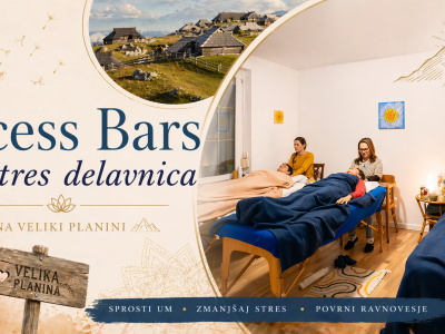 Antistres delavnica Access Bars®. Velika Planina