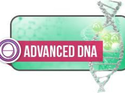 Thetahealing® nadaljevalni seminar DNK 2 (Advanced DNA)