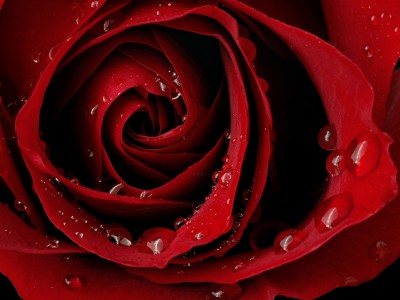 Ajurvedski pogled na menstruacijo