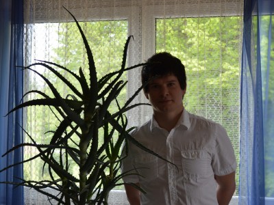 Recept za starodavni napitek iz aloje arborescens