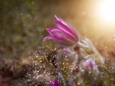 Tedenski numerološki namig: 13.–19. 5. 2019