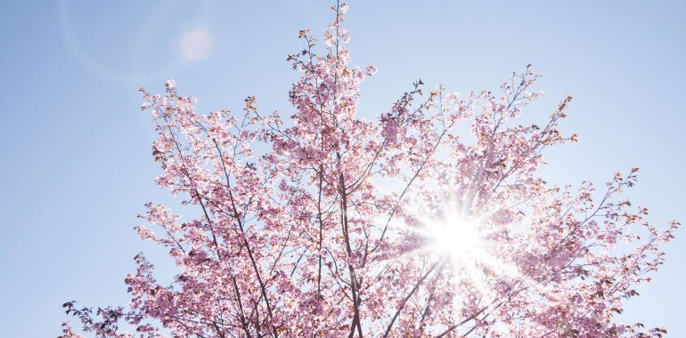 Intuitivna astrološka napoved: april prinaša energičnost in obilje