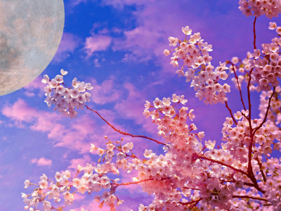 April 2023: polna luna nas je popeljala v mesec transformacije