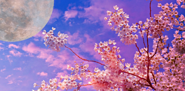 April 2023: polna luna nas je popeljala v mesec transformacije