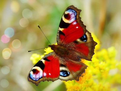 Astrološka napoved: maj 2019 – mesec manifestacije in preboja