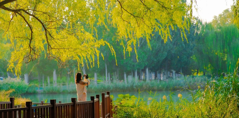 Energijski tok tedna (30. 11. - 7. 12. 2025 ): Vesolje dela zate!