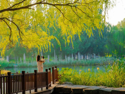 Energijski tok tedna (30. 11. - 7. 12. 2025 ): Vesolje dela zate!