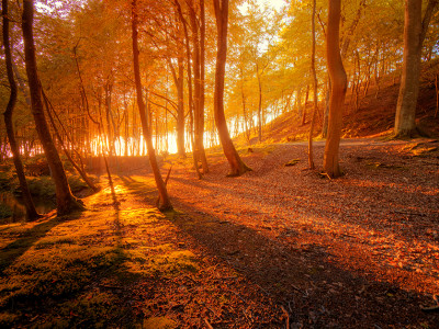 Meditacija: svetlobna kopel