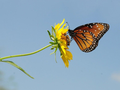 Avgust 2025: mesec preboja, obilja in manifestacije