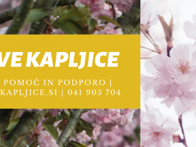 Bachova cvetna terapija 