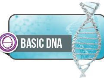 Thetahealing® seminar DNK 1 (Basic DNA)