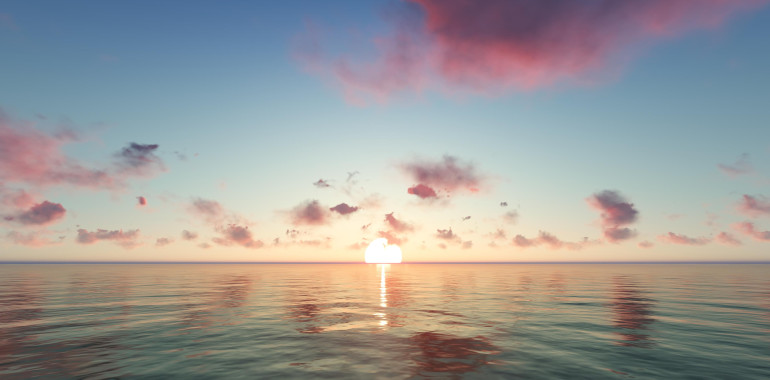 REJ - Janja Rebolj, Poslovne in družinske postavitve po Bertu Hellingerju