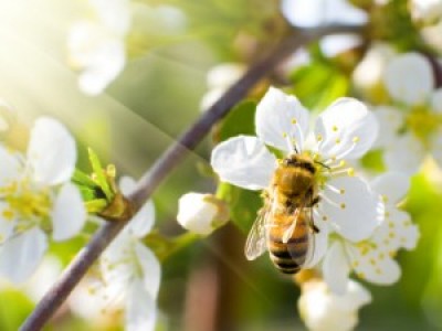 Kaj ti pomeni življenje?