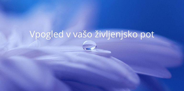 Vpogled v vaše življenje... jasnost, ki spreminja vse