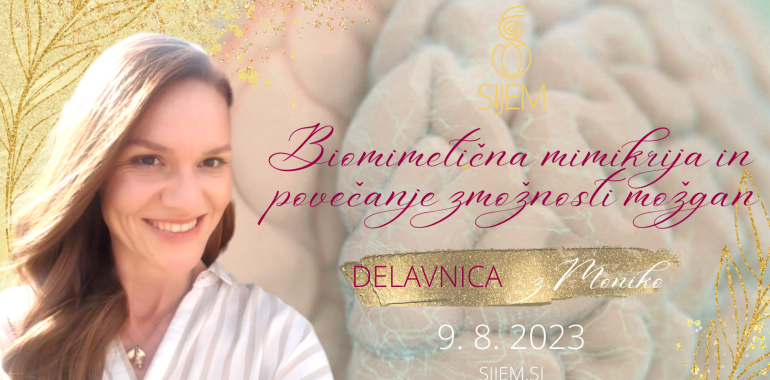 Biomimetična mimikrija in povečanje zmožnosti možgan - delavnica