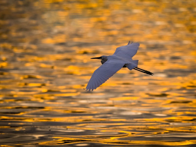 Duhovno vodstvo tedna (5. – 11. 8. 2025): svet vas čaka!