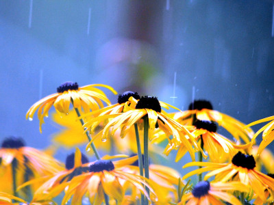 Tedensko duhovno vodstvo (19. – 25. 8. 2024): ne zavežite se stvarem, ki jih ne morete izpeljati do konca