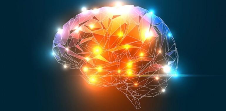Kako lahko stare možgane naučite novih trikov