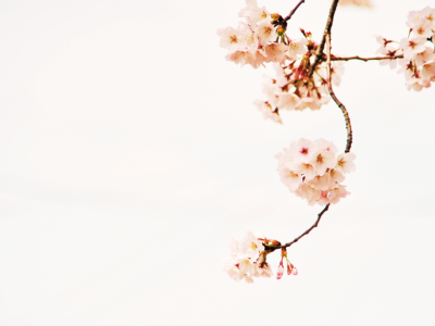 Spomladansko čiščenje odnosov