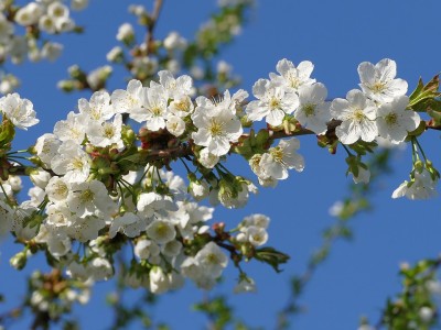 Tedenska numerološka napoved: 24.–31. 3. 2019