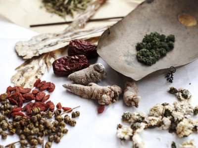 Zelišča in prehrana za zdravljenje IBS in prebavnega sistema