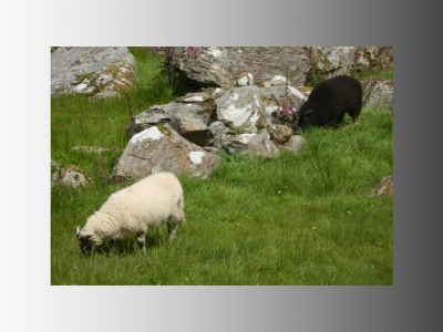 Senčni in sončni aspekti arhetipov