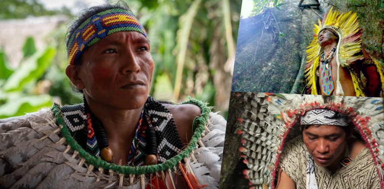 Individualna Zdravljenja Z Amazonskim Pajéjem