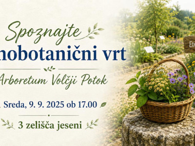 Spoznajte Etnobotanični vrt: 3 zelišča jeseni 