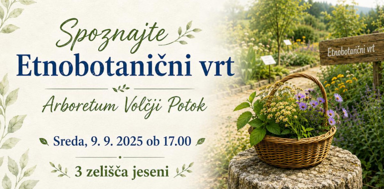 Spoznajte Etnobotanični vrt: 3 zelišča jeseni 