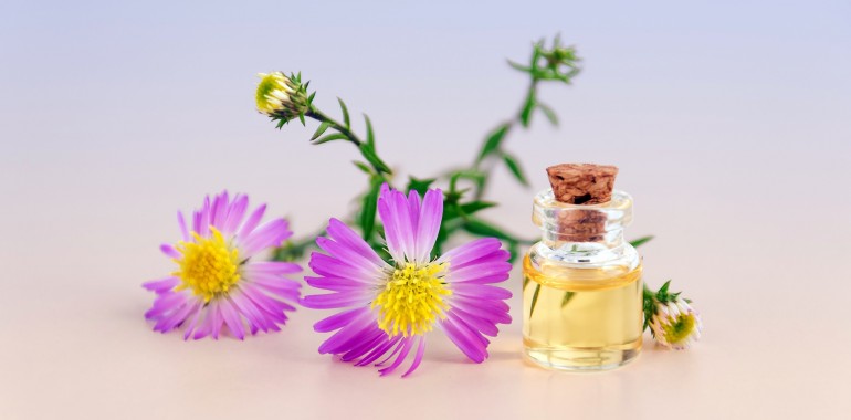 Z Aromaterapijo do harmonije (Harmony Program)