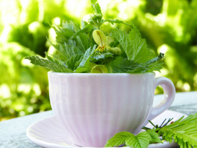 Triki za celostno varno razstrupljanje telesa!