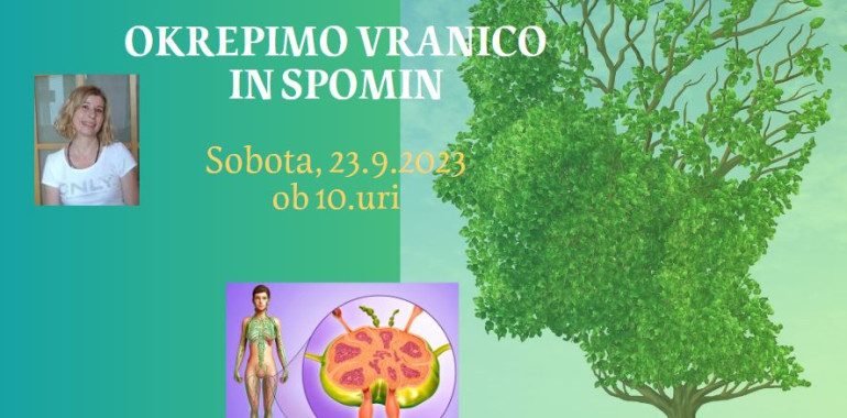 Delavnica OKREPIMO VRANICO IN SPOMIN