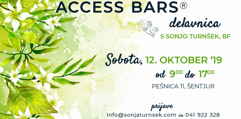 Access Bars delavnica