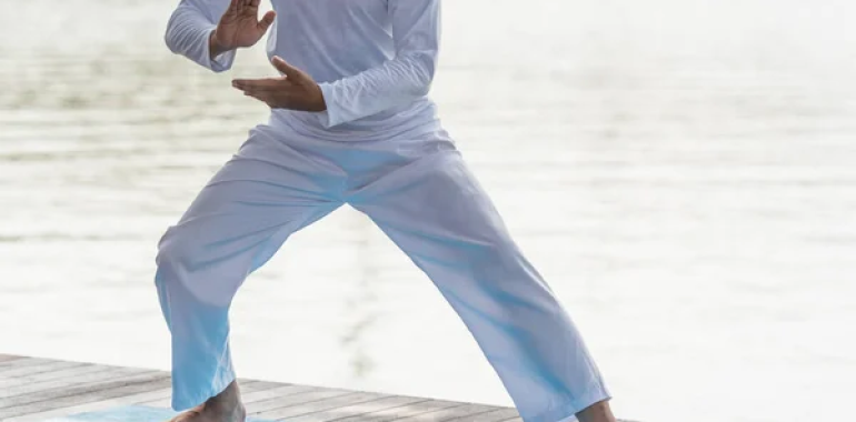Qigong-Tai Chi celoletni tečaj ONLINE 
