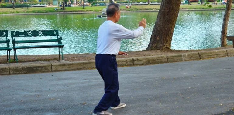 Qigong-Tai Chi celoletni tečaj ONLINE 