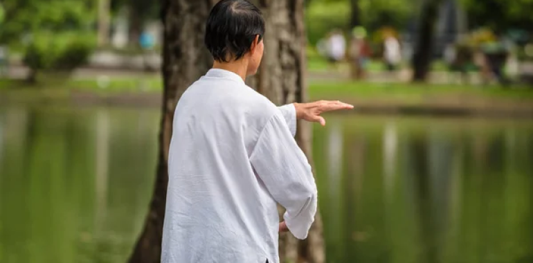Qigong-Tai Chi celoletni tečaj ONLINE 