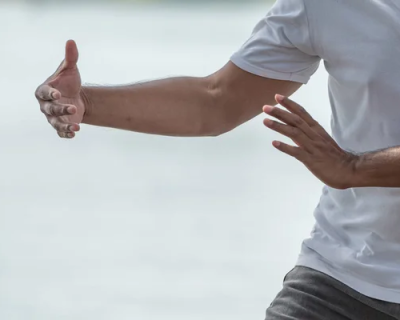 Qigong-Tai Chi semester ONLINE 