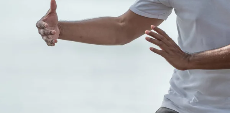 Qigong-Tai Chi semester ONLINE 