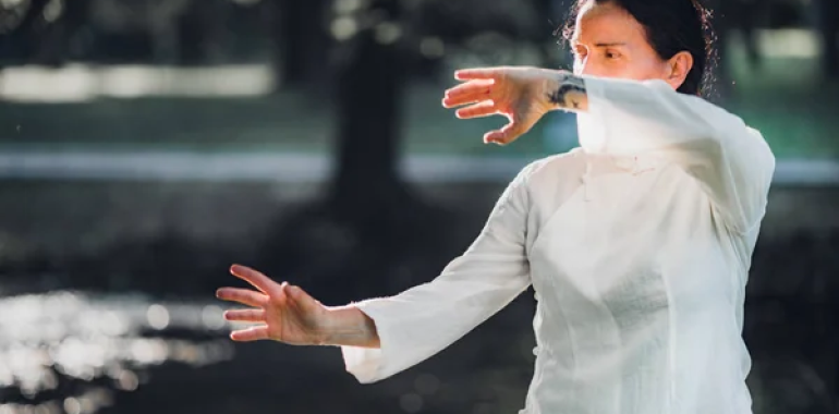 Qigong-Tai Chi celoletni tečaj ONLINE 