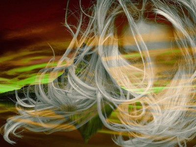 Večina jih umre pri 25., pokopljejo pa jih pri 75.