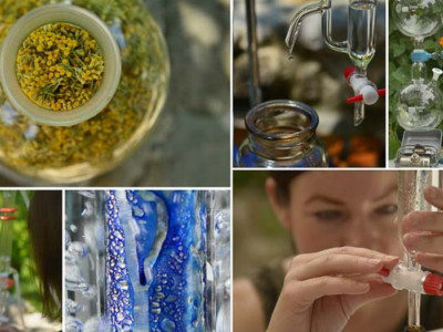 Spletni tečaj: Destilacija in hidrolati