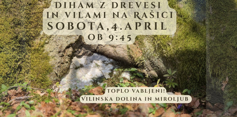 Diham z drevesi in vilami na Rašici 