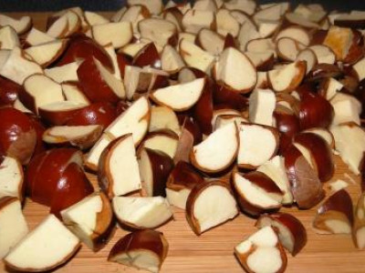 Divji kostanj nekoliko drugače 2 - obdelava