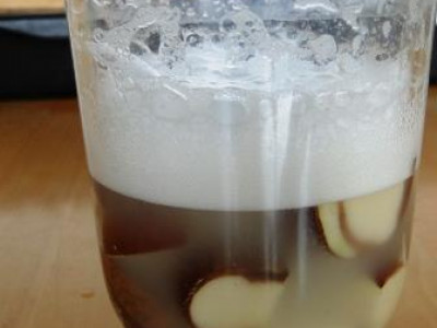 Divji kostanj nekoliko drugače 3 - kostanjeva milnica