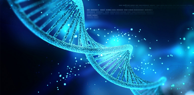 RETREAT v Posočju z delavnico:  Prebujanje 12 vijačne DNK