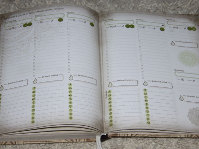 Osebno svetovanje, pomoč, dvig energije 