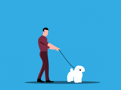 12 KORAKOV DO MATERIALNE SVOBODE, KI MI JIH JE ZAUPAL (NE)NAKLJUČNI SPREHAJALEC