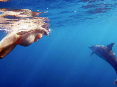 Rojstvo z delfini in delfinske babice (izvleček iz knjige Drunvala Melchizedeka)