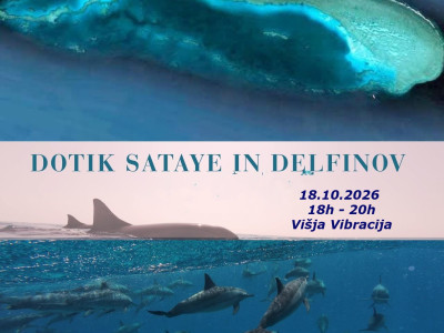 Dotik delfinov in Sataye - brezplačen dogodek